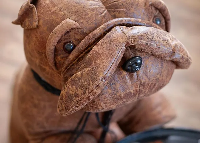 Le Clos Margaux - Vue Cite Medievale - 3 Carcassonne